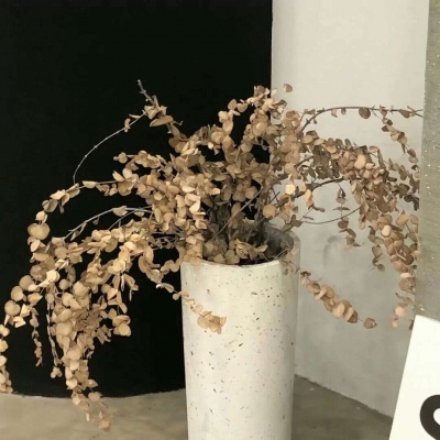 洛隆福瑞交流群